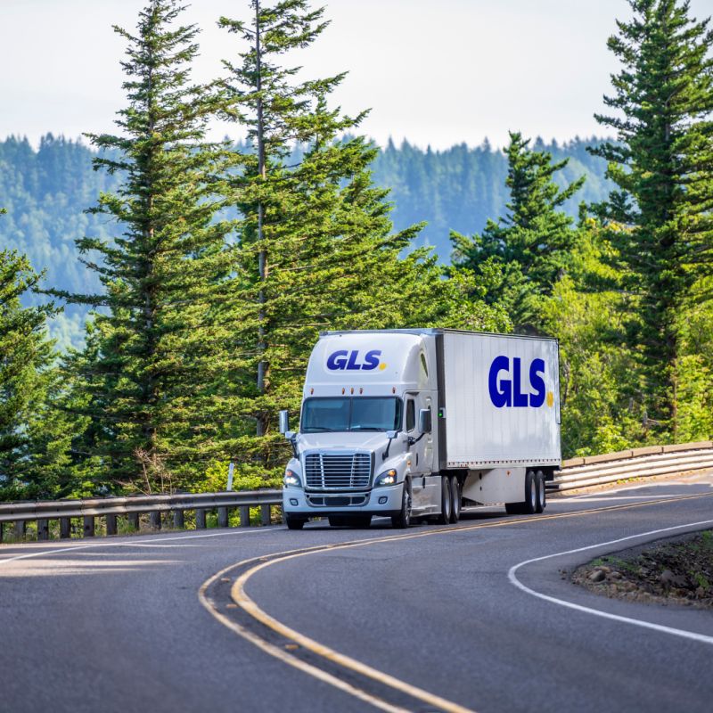 OnTime, Affordable Shipping Services GLS