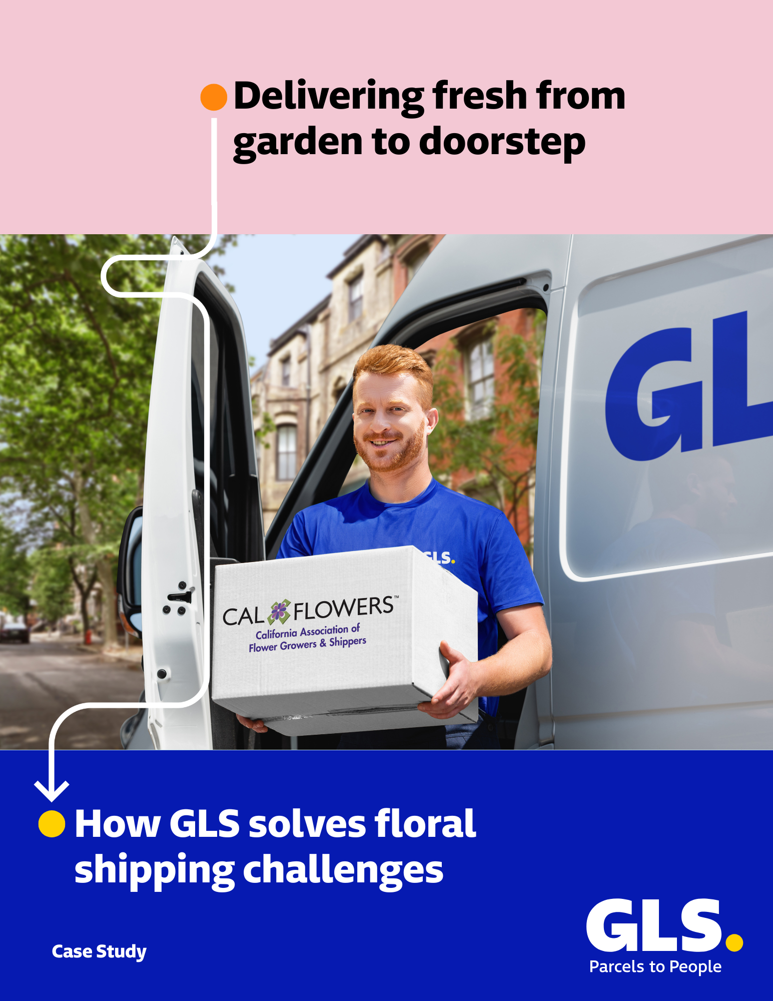 CalFlowers Case Study Image